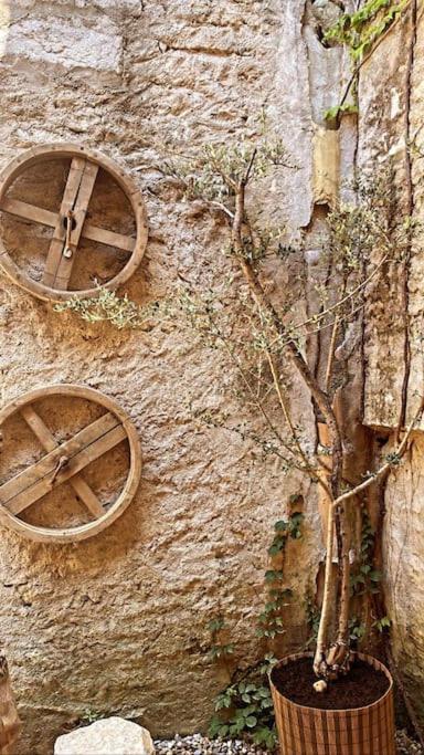 Вілла Aux Quatre Voutes Saint-Marcel-d'Ardeche Екстер'єр фото